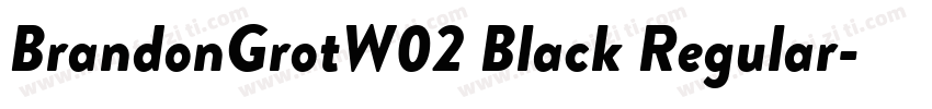 BrandonGrotW02 Black Regular字体转换